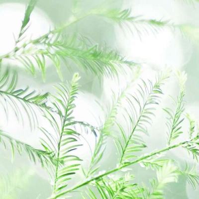 万古仙皇变态版下载